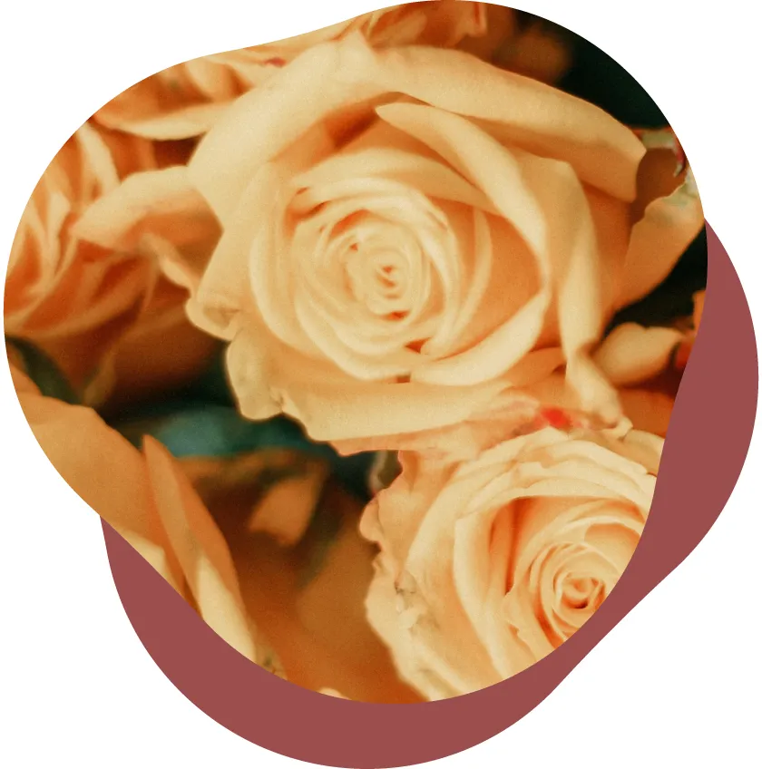 s-840x848_v-fs_webp_8edbcb62-ff01-4ad6-94b7-75a06458774c